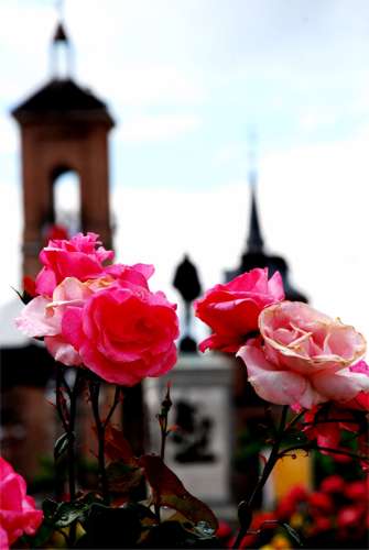 Cervantes 6b.jpg (17157 bytes)